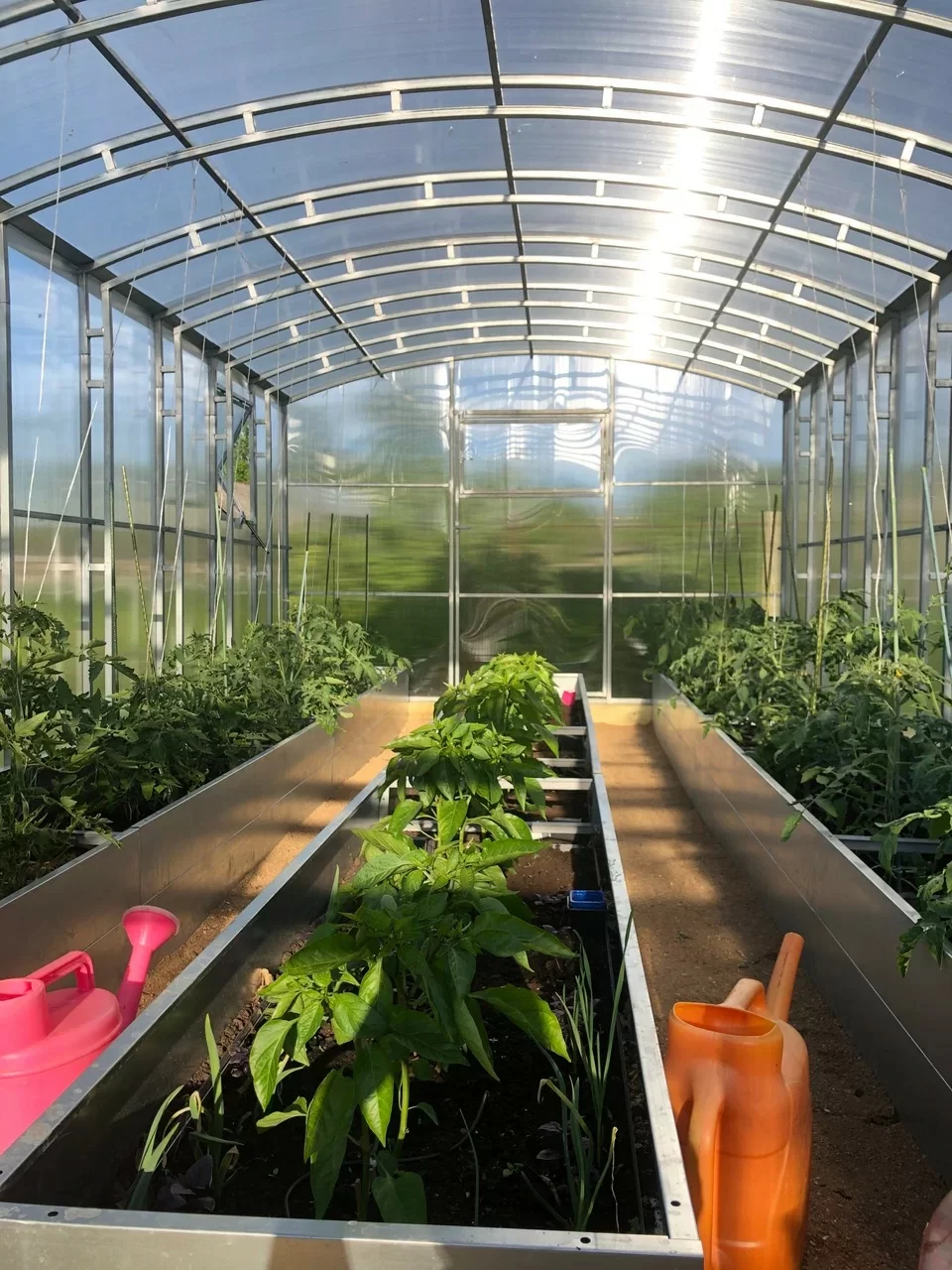 Высокий комплект оцинкованных грядок в теплицу