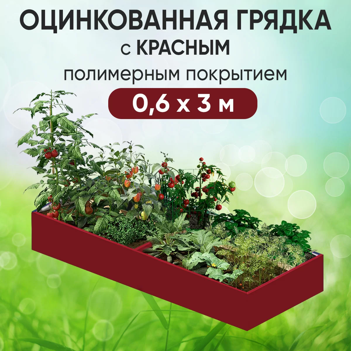 Грядка красная (0,6 х 3)
