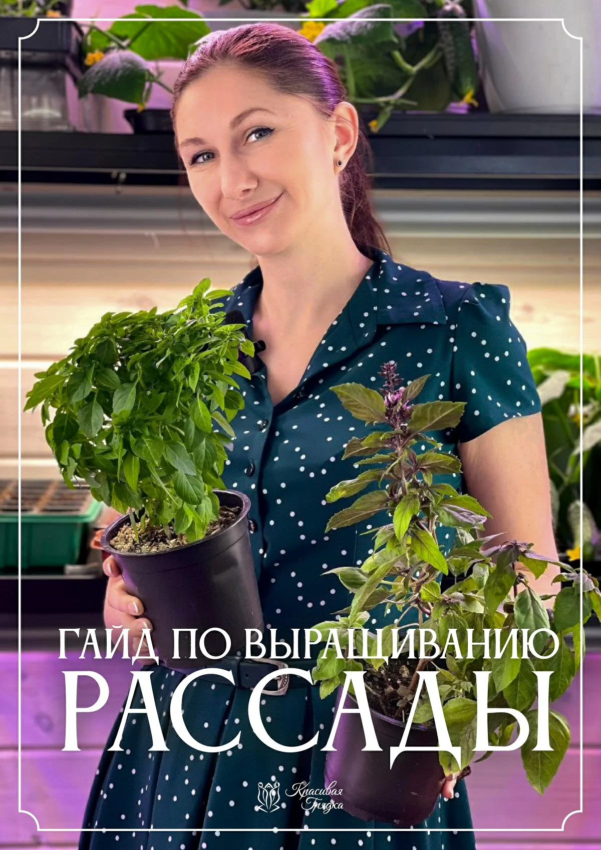 Подарок: Гайд: выращивание крепкой рассады (в электронном виде)