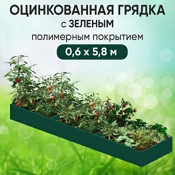 Грядка зеленая (0,6 х 5,8)