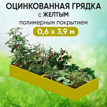 Грядка желтая (0,6 х 3,9)