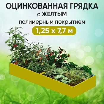 Грядка желтая (1,25 х 7,7)